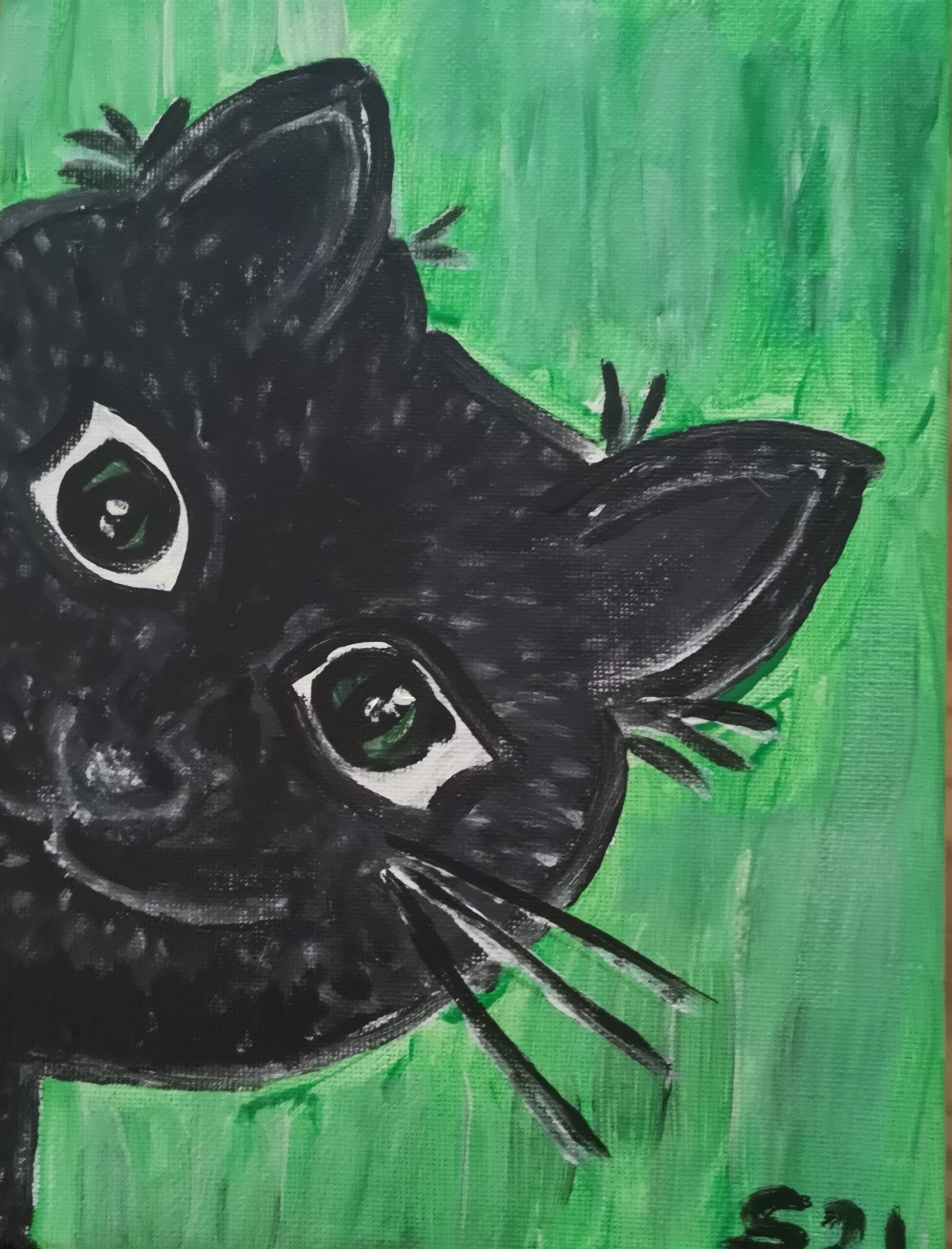 Bild einer schwarzen, lächelnden Katze auf grünem Hintergrund, die ins Bild schaut