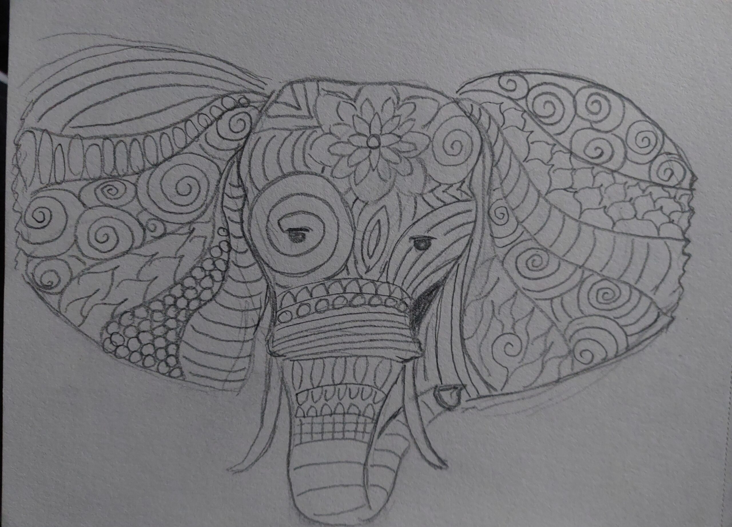 Skizze eines Elefantenkopfes mit Mustern